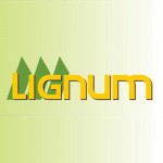 Logo P.P.H.U. LIGNUM Przemysław Kretowicz