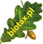 Logo BIOTAX.PL
