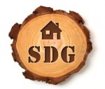 Logo SDG Sp. z o.o. 